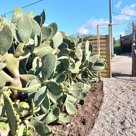 Летний дом Recanto Do Pinhal E Mar