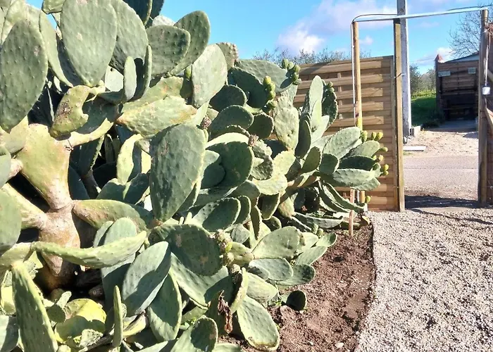 乡村民宿 Recanto Do Pinhal E Mar